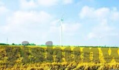 国产成人在线视频-国产成人在线视频，文化、伦理与社会的多维视角