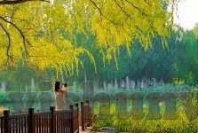 美国成人在线视频-探索美国成人在线视频的多元化发展与社会影响